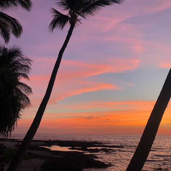 Meet your Posher, Kimberly - Picture 2 of 2